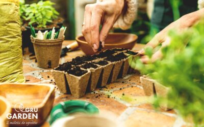Czy można wysiewać rośliny w styczniu i lutym?