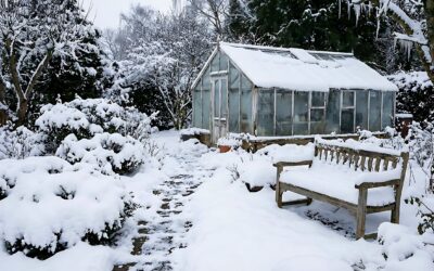 Co robić w ogrodzie, gdy ziemia skuta jest lodem?