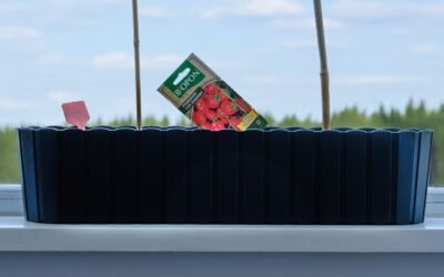 Zielony ogród w mieszkaniu